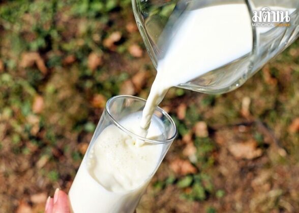milk