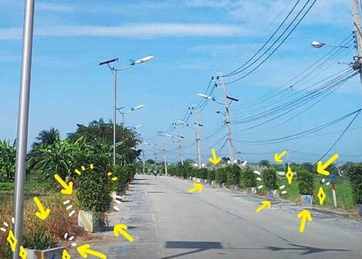 กระถางคู่เสาไฟ