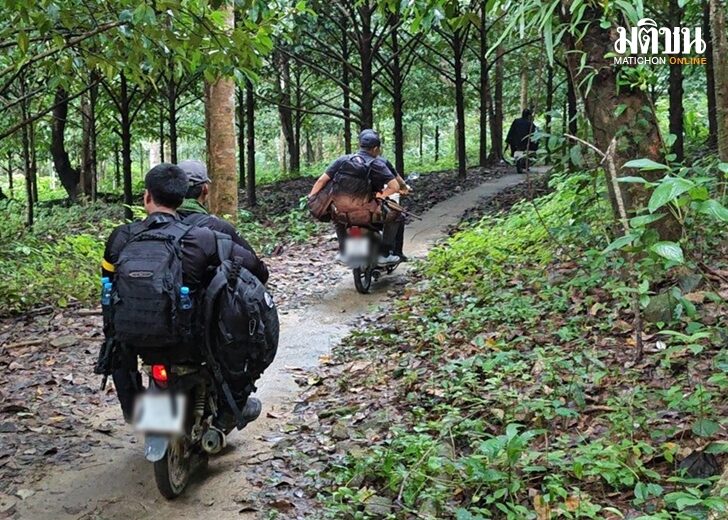 ล่าเสี่ยแป้ง-ตรัง-09