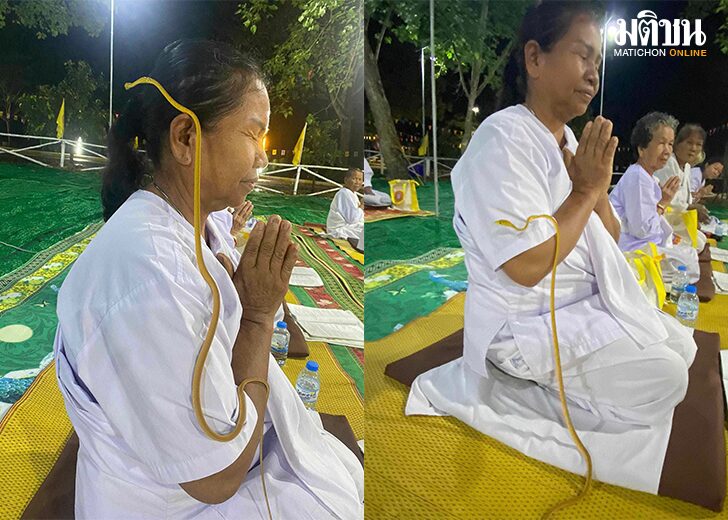 เลื้อยพาดตัว15