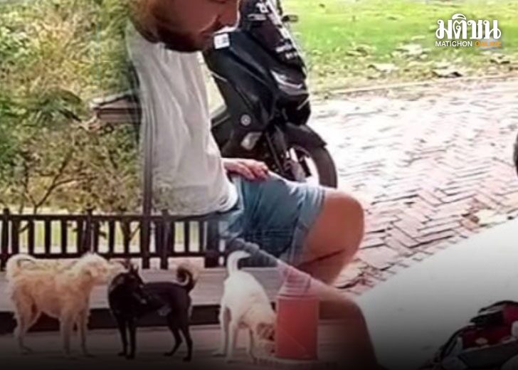 เกิดเหตุหมาจรจัด ย่านโบราณสถาน 'สวบขา'นักท่องเที่ยวแล้ว 12 ราย เน้นต่างชาติ