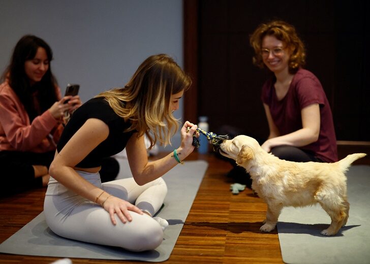 Parisians relieve year-end stress with puppy-yoga class