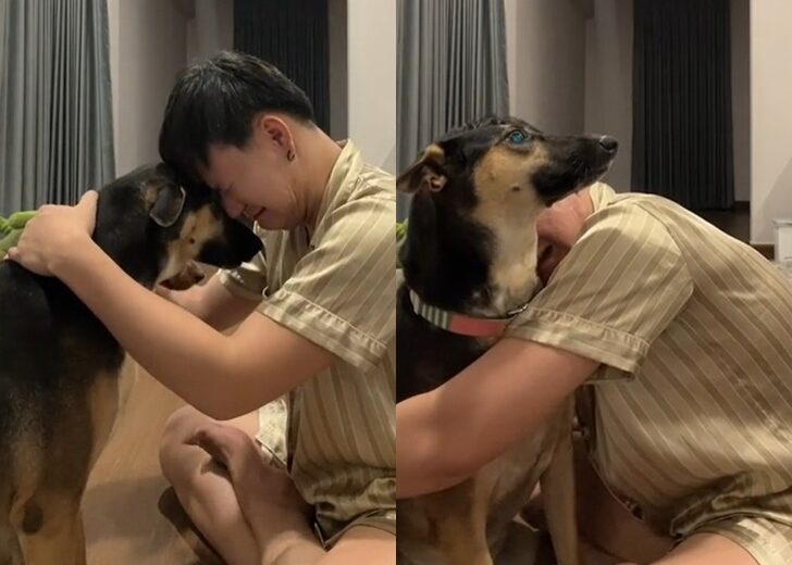 บูม เพจโดนปิด