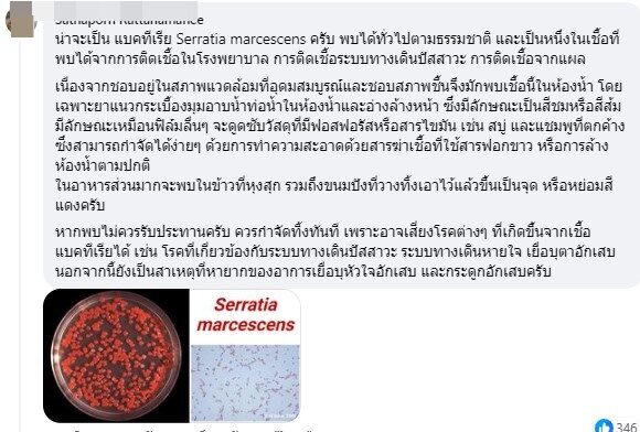 แบคทีเรีย