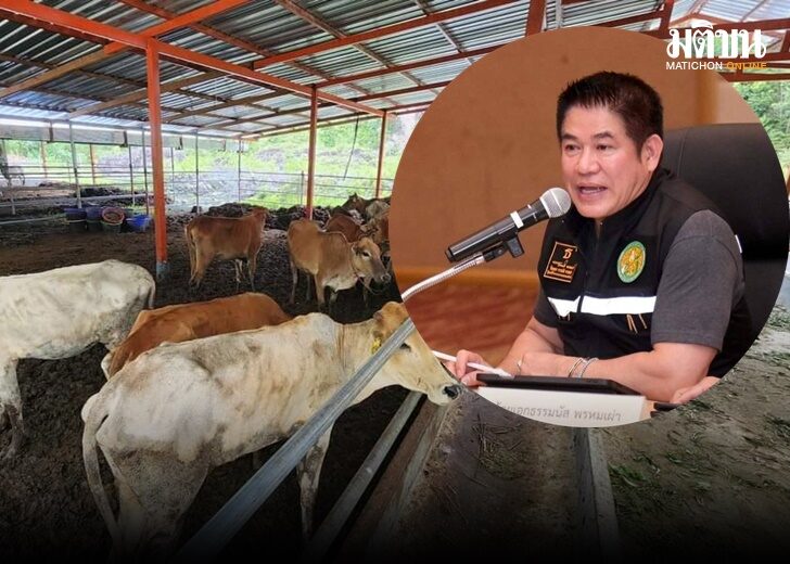 ตั้ง เว็บ