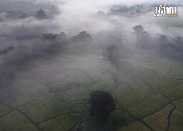 ปก-หนาว-1-1