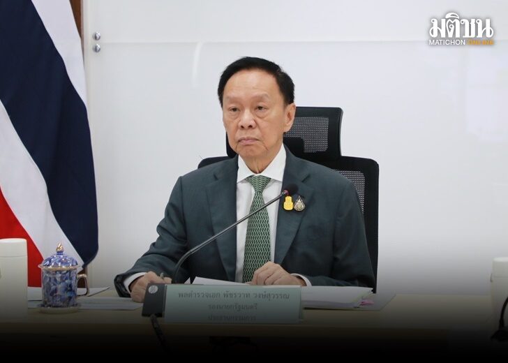 ป่า3