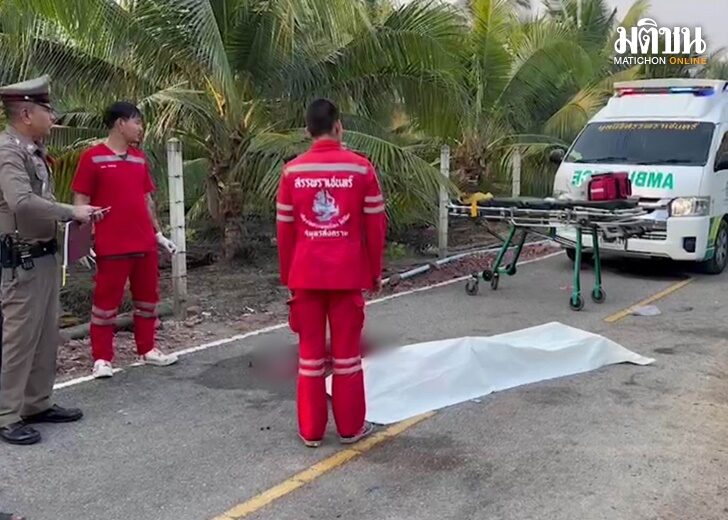 รถชน4