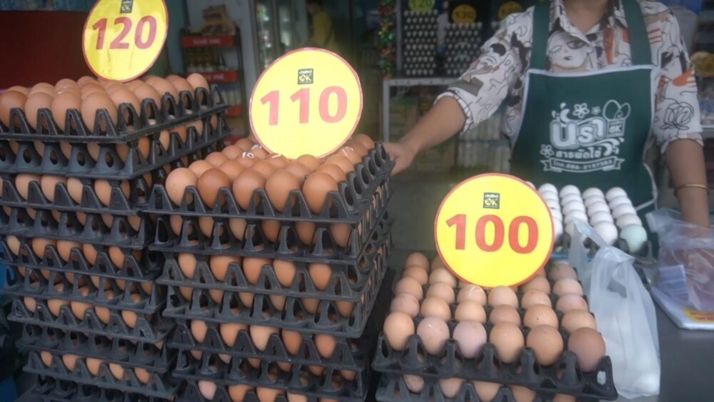 ไข่