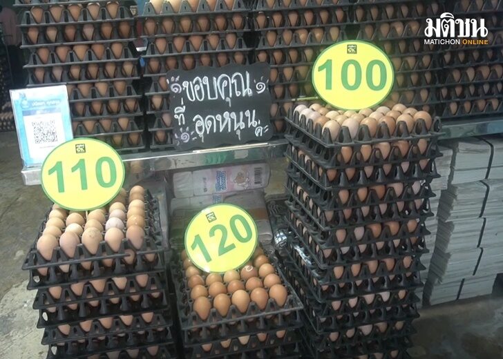 ไข่6