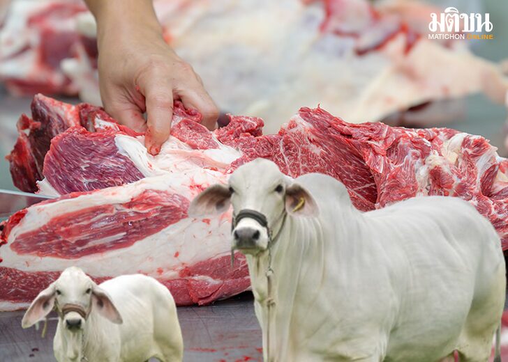 beef_china (2)