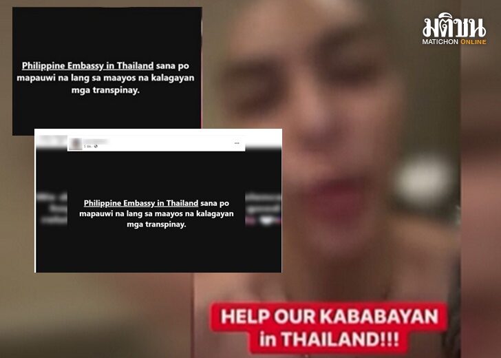 กะเทยปินส์6