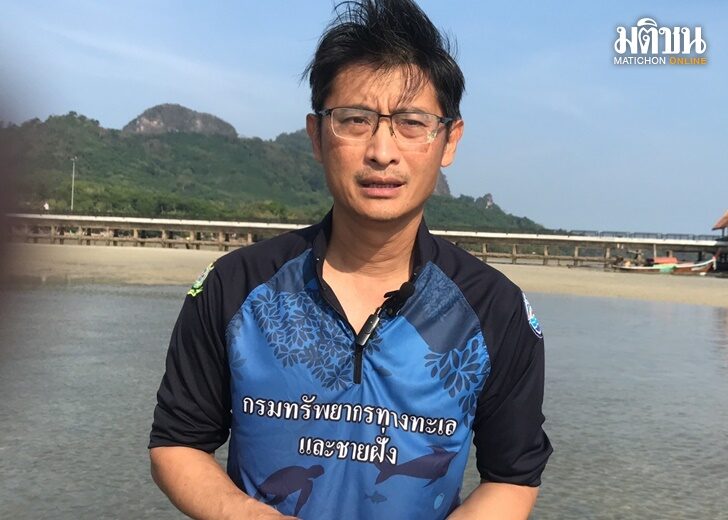 ปิ่น1