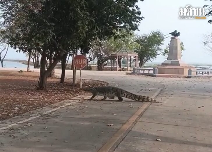 เข้1