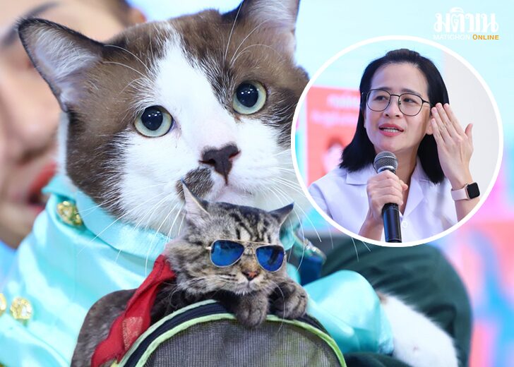 โรคตา_พบบ่อย