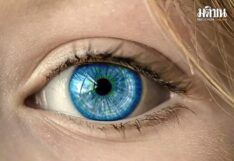 สะพานแห่งกาลเวลา : ความลับของ‘ดวงตาสีฟ้า’ ดวงตาของมนุษย์เรามีสีนะครับ