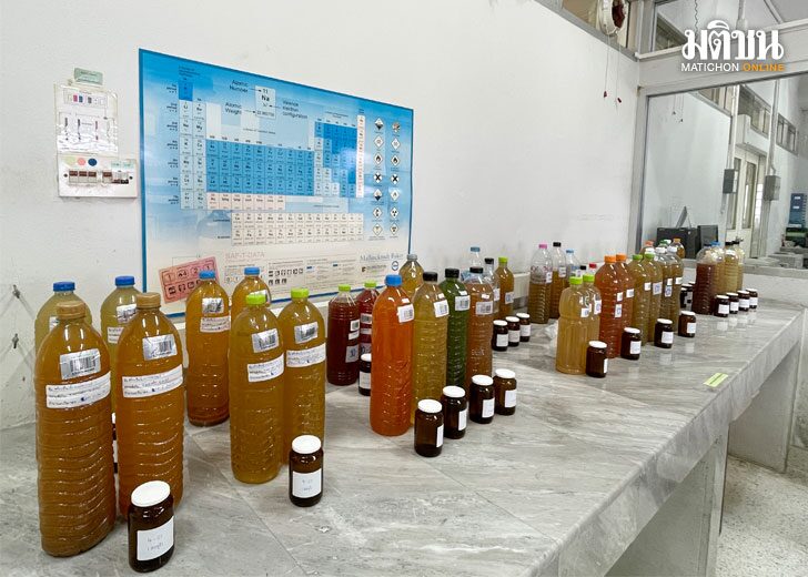 tuensaiphalangbai4