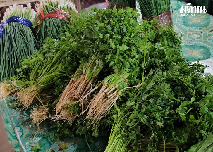 ผักชี250