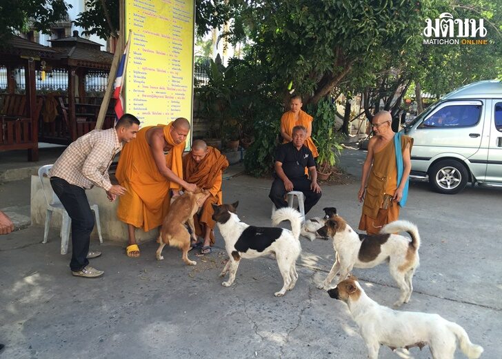 หมา1