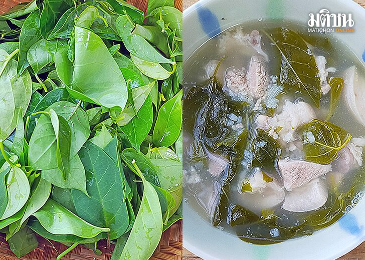 789 ‘แกงส้มลม’ ความพ้องพานข้ามภูมิภาค