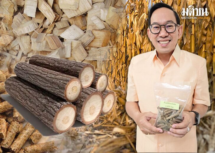 ชีวมวลอัดเม็ด...แหล่งพลังงานใหม่ ดันเป้า Net Zero เร็วขึ้น