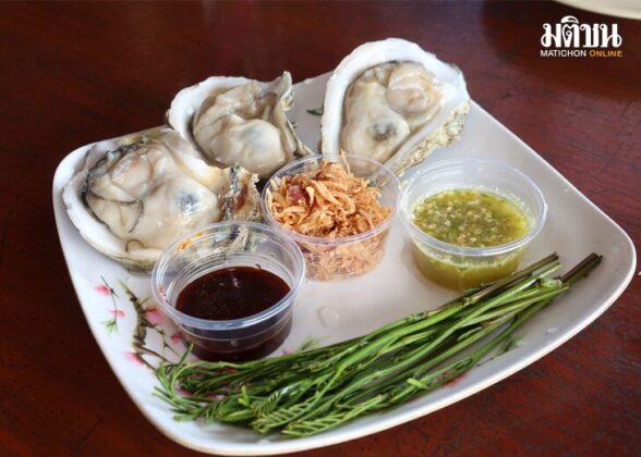 เคียงเลซีฟู้ด สุราษฎร์ธานี ร้านโปรดริมเล ของทะเลสดๆ