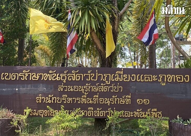 S__99123447-3