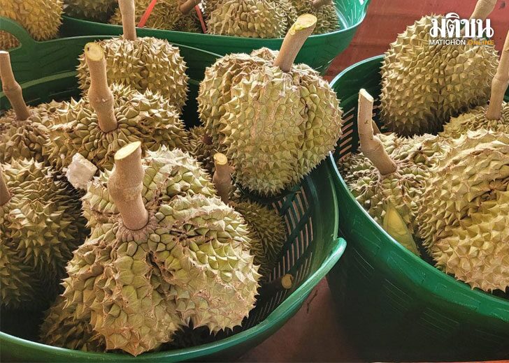 durian1