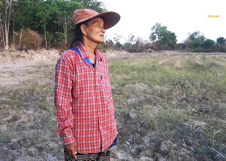 ปล่อยร้าง