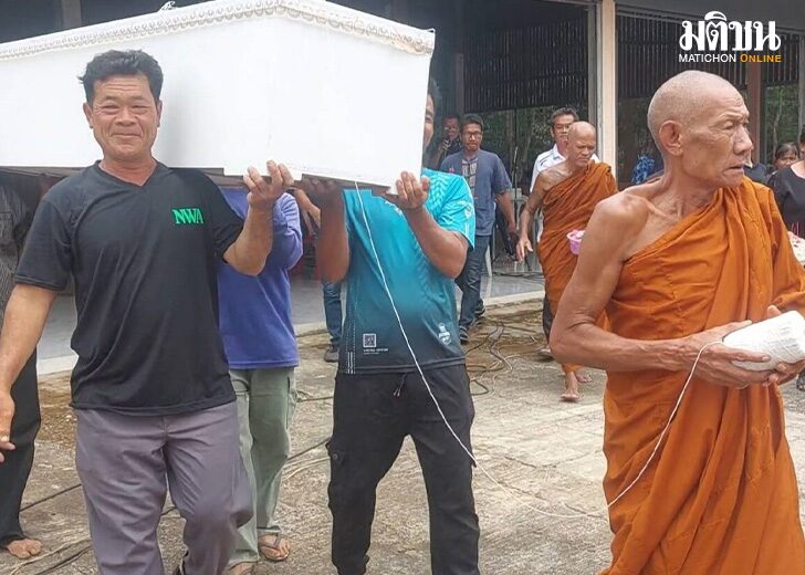 iki8 wed