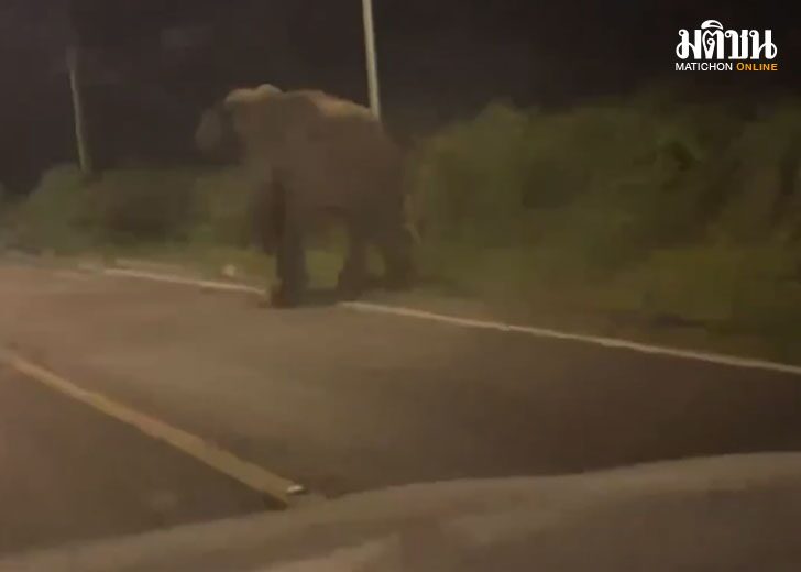 leaveelephen1