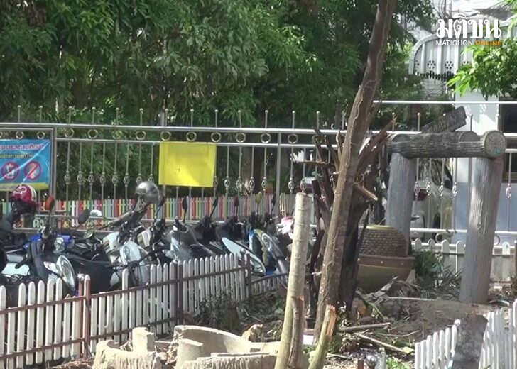 เปิดเรียนปกติ