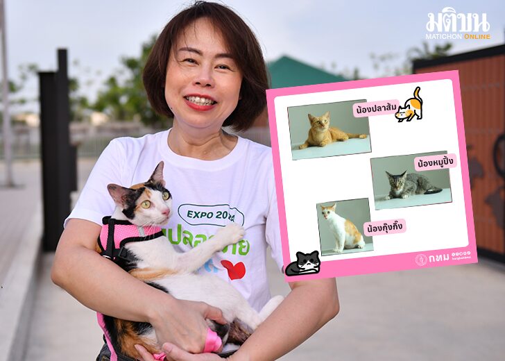 ได้บ้านครแบล้ว2