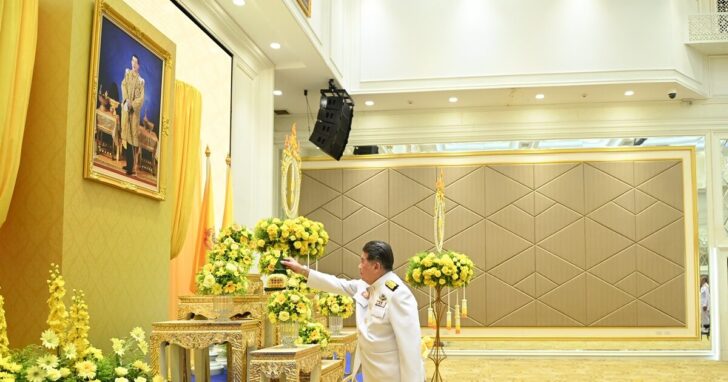 njio8 wed