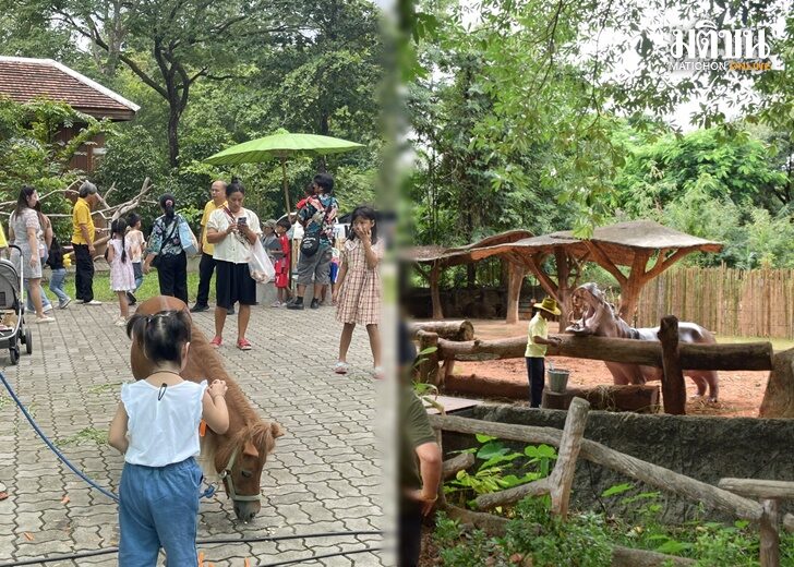 zoo web