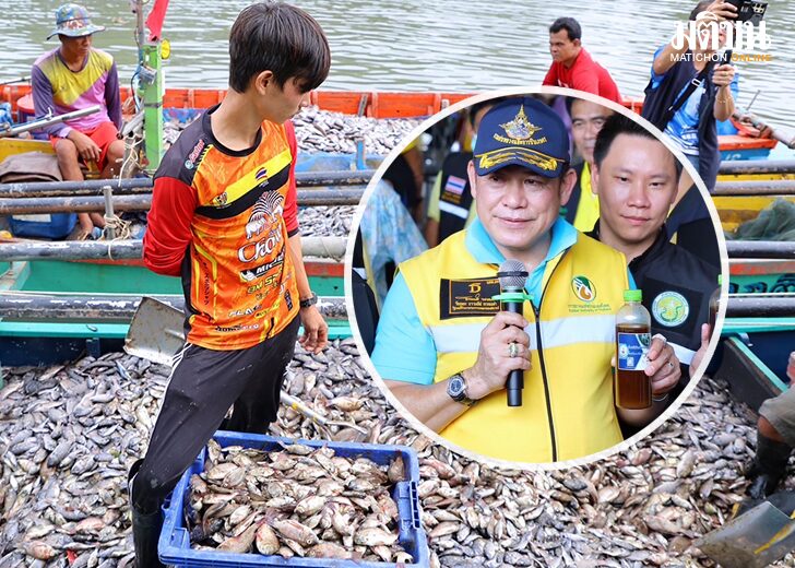 คางดำ