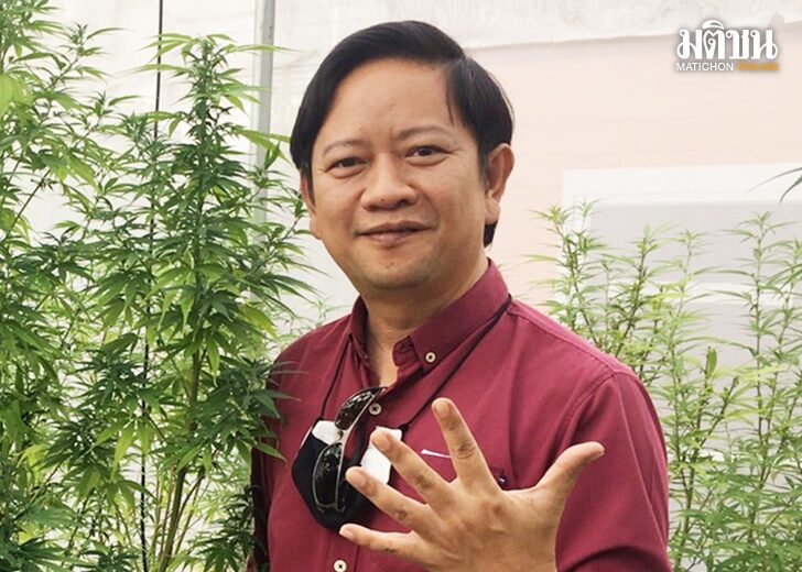 ค้านกัญชา-ยาเสพติด