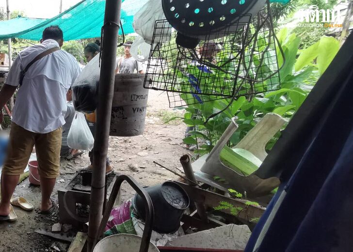 จบชีวิต31