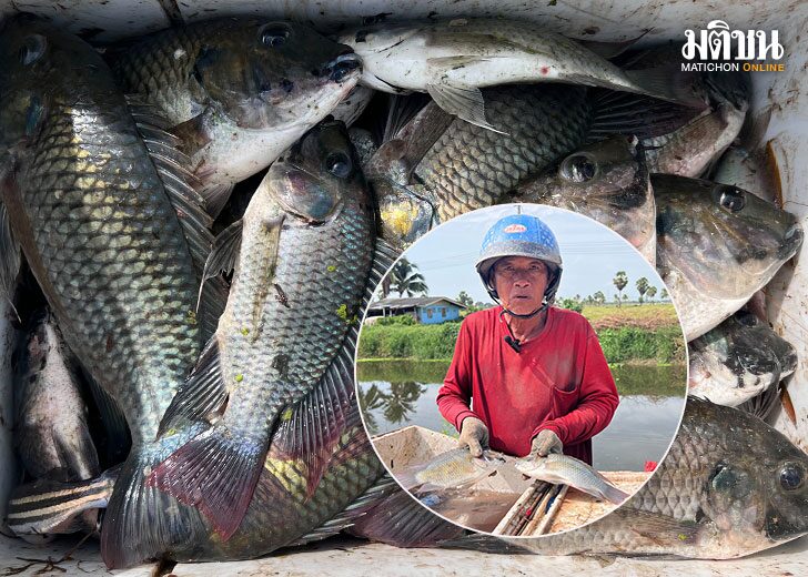 ปกข่าว-728(1)