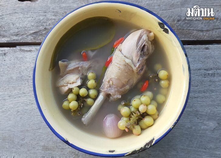 Online ไก่ต้มหมากเม่า รสเปรี้ยวละมุนของลูกไม้ : โดย กฤช เหลือลมัย