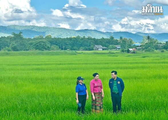 แปรรูปปัง สร้างแบรนด์เปรี้ยง! วิสาหกิจชุมชนจุน ศูนย์ข้าวฯ ศรีดอนมูล 2 ต้นแบบอัพเกรดข้าวไทยในยุคโมเดิร์นเทรด