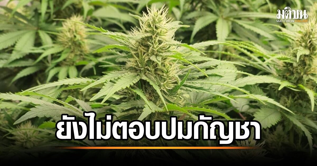 สมศักดิ์ ใส่เกียร์วิ่ง หลังนักข่าวถามปม “กัญชา” ขอตัวไปประชุมก่อน สมศักดิ์ ใส่เกียร์วิ่ง หลังนักข่าวถามปม “กัญชา” ขอตัวไปประชุมก่อน