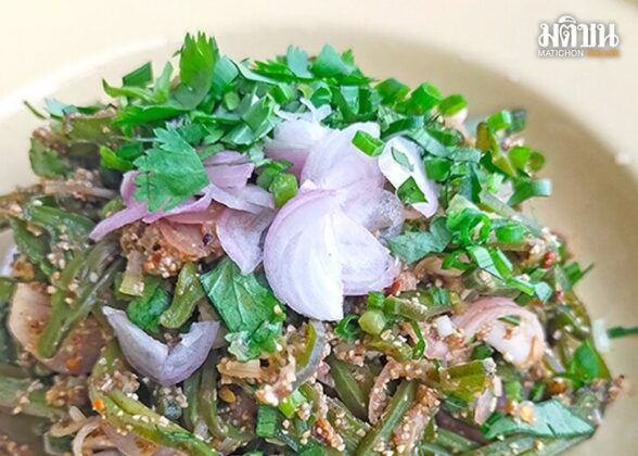 ลาบเพกา ความขมนัวของ‘หมากลิ้นฟ้า’