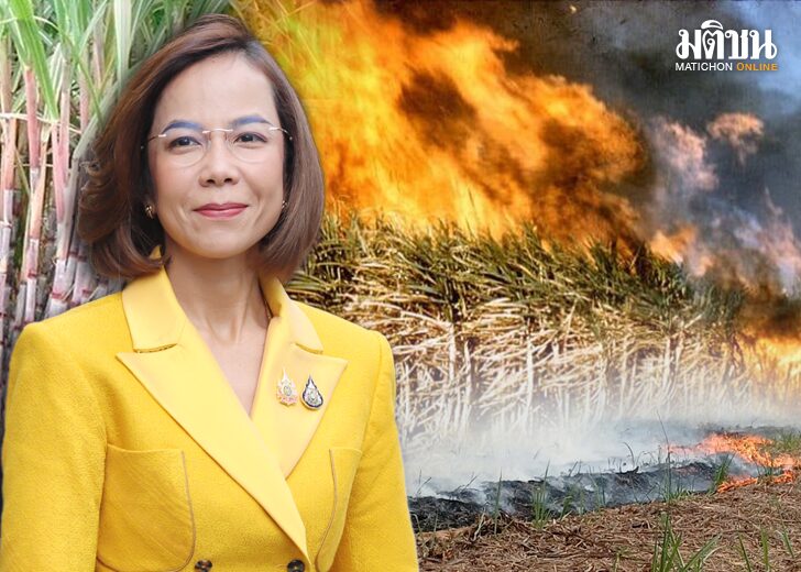 ‘พิมพ์ภัทรา’กางโรดแมปลดอ้อยไฟไหม้ ไร้ PM2.5-ยกระดับผลิตยั่งยืน