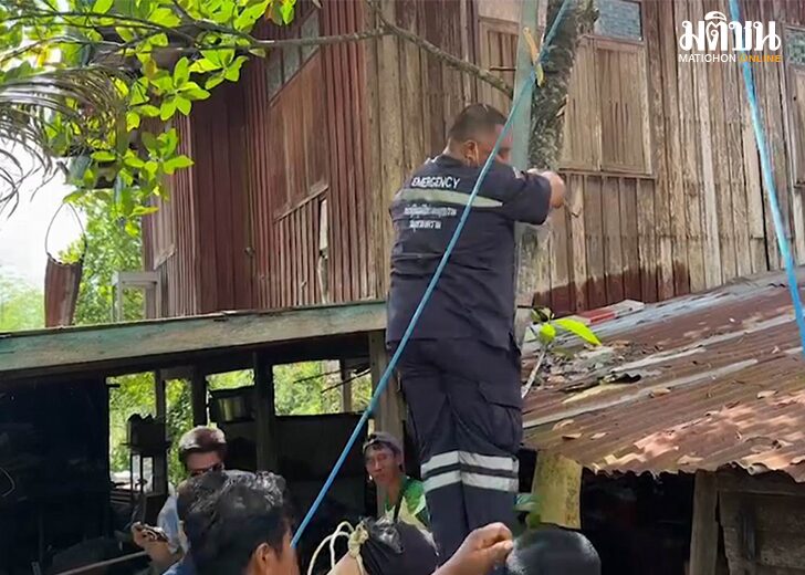 แบบปกเว็บ-728x520 copy646513164