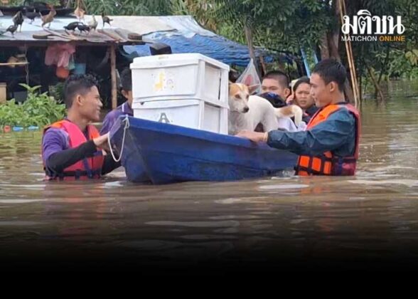 น้ำวังยังล้นท่วมสูง จมลำปาง 2 เมตร นักเรียนจิตอาสา ช่วยอพยพสัตว์เลี้ยง