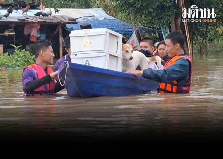 104 น้ำวังยังล้นท่วมสูง จมลำปาง 2 เมตร นักเรียนจิตอาสา ช่วยอพยพสัตว์เลี้ยง
