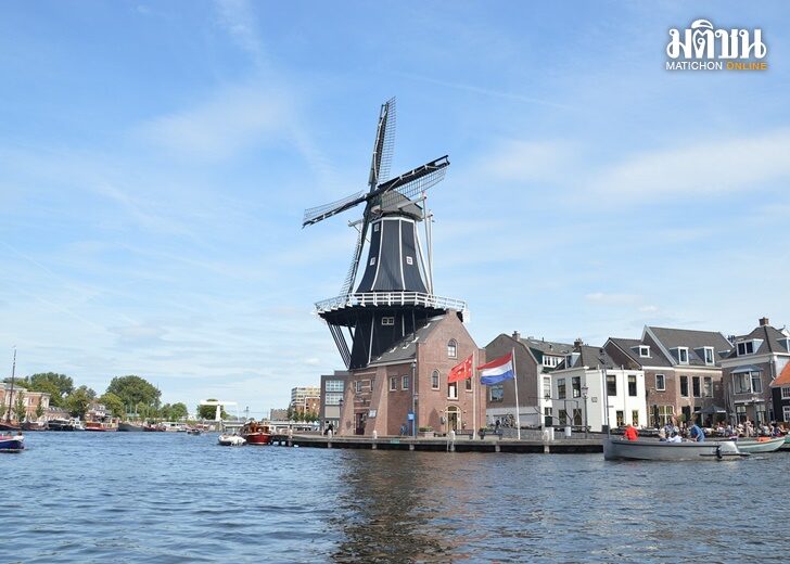 haarlem