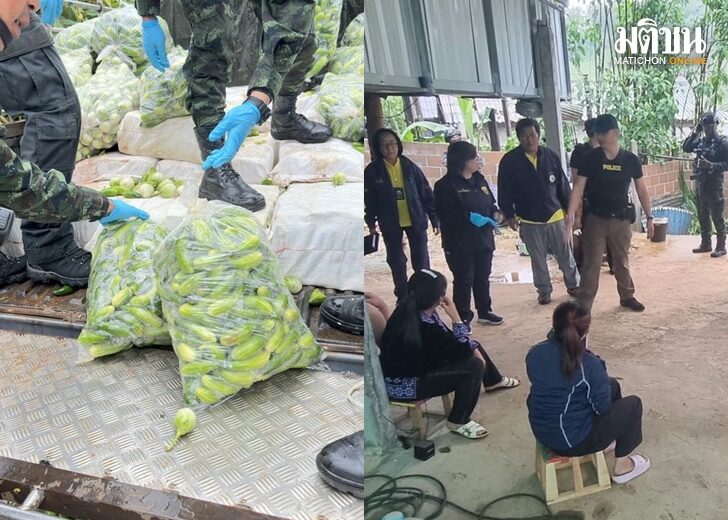 ตรวจค้นบ้านชาวเขา