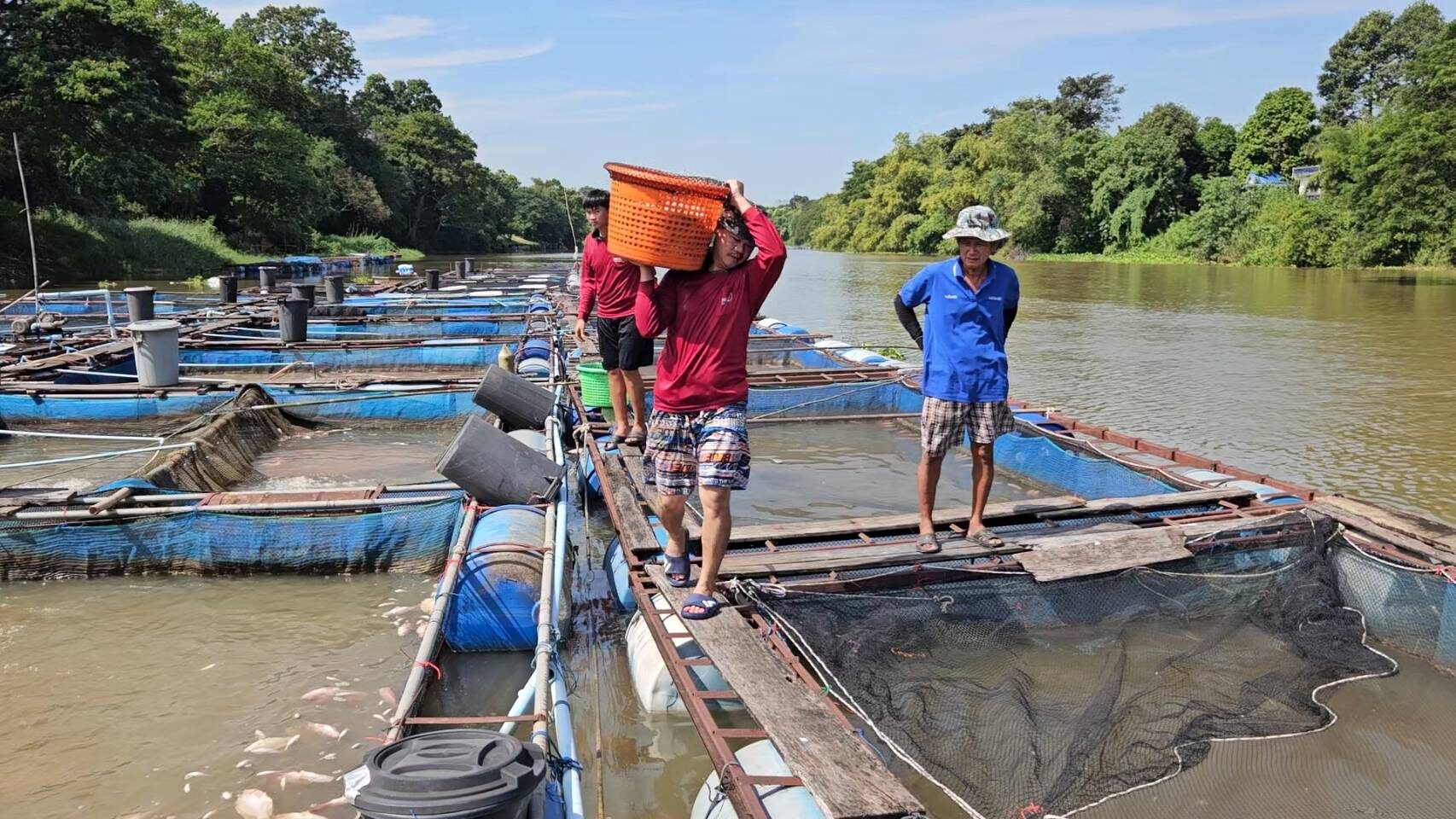 น้ำป่าสักเน่า
